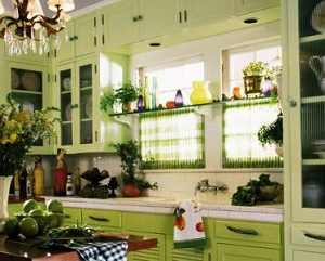 Лучшие комнатные растения для кухни