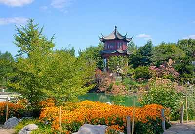 Традиционный китайский сад